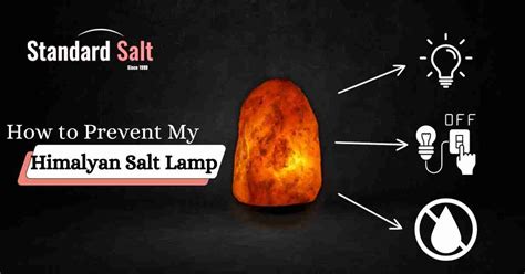 how to stop salt lamp from leaking|Why is My Salt Lamp Leaking